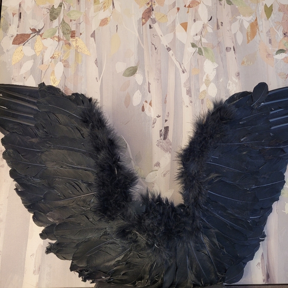 Dark Angel Wings Black Feathers Posable Cosplay Or Display - Picture 12 of 16